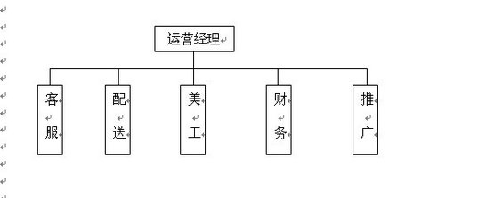 taobaoyunying4 淘宝干货：网店运营结构图和工作分配