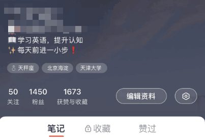 中文字体排版设计 第一次注册小红书先跑再调，100天涨粉14万的经验分享